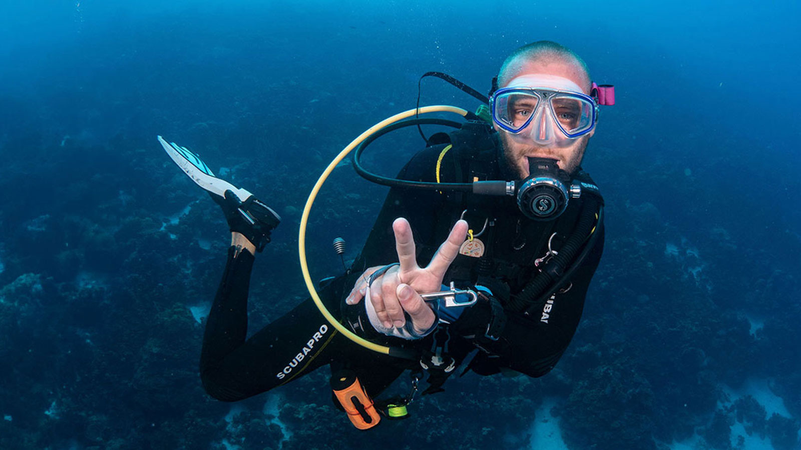 Contact Your Dive Friends | Dive Friends Bonaire