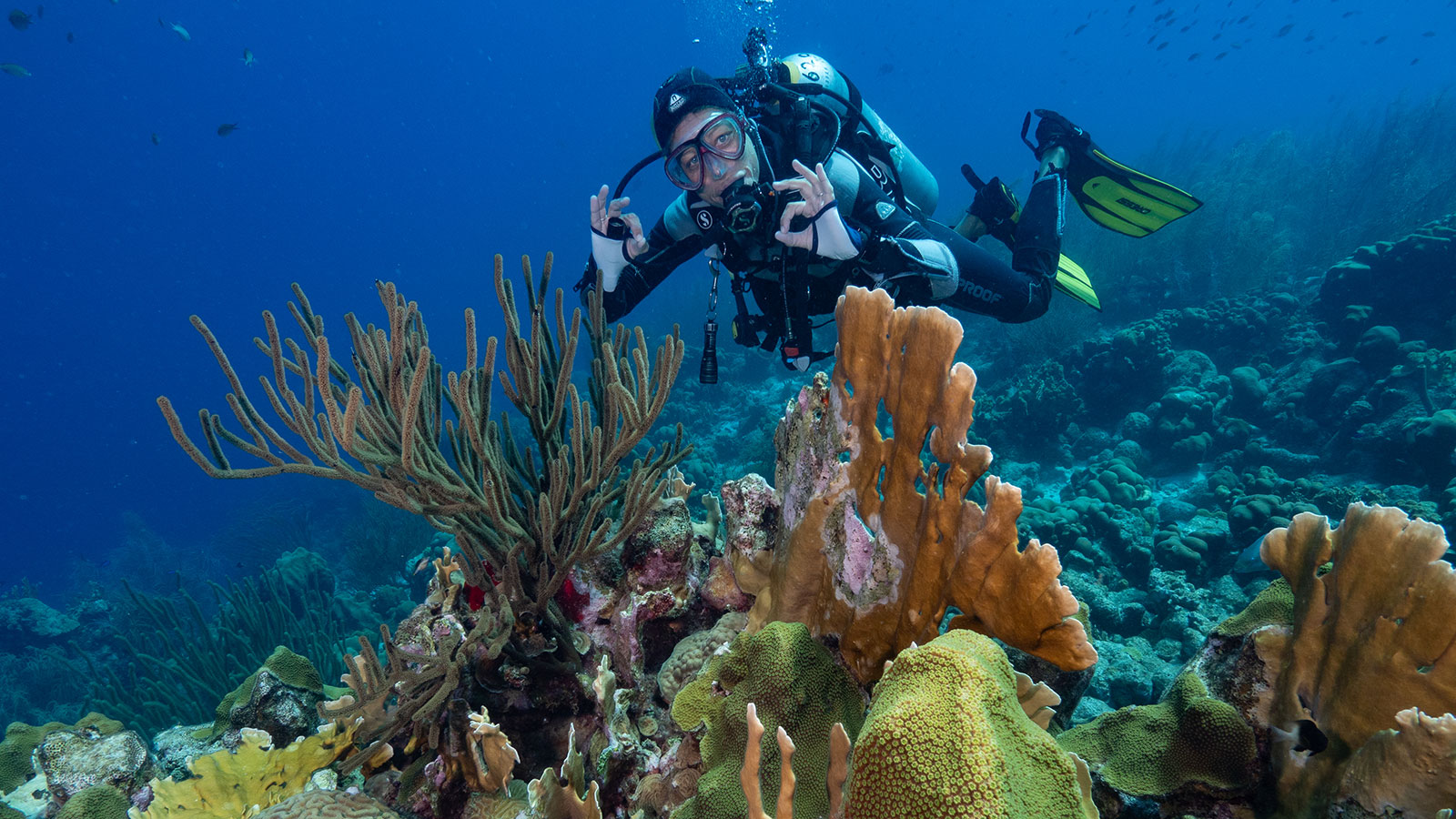 Accommodations | Dive Friends Bonaire