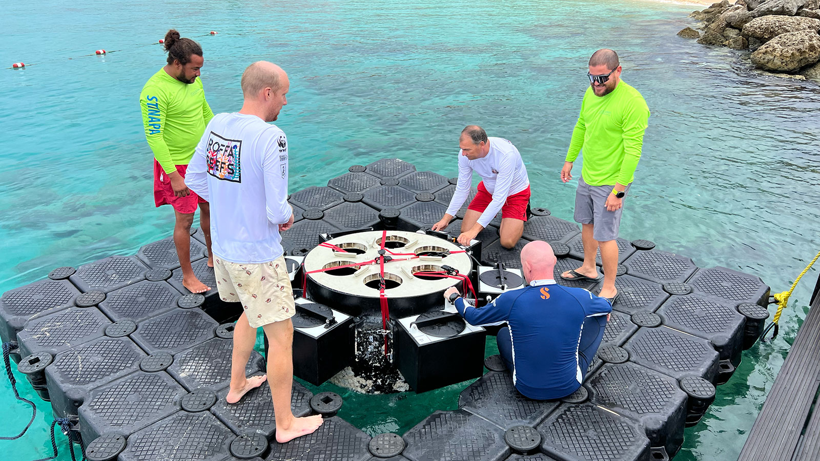 Roffa Reefs Dive Friends Bonaire