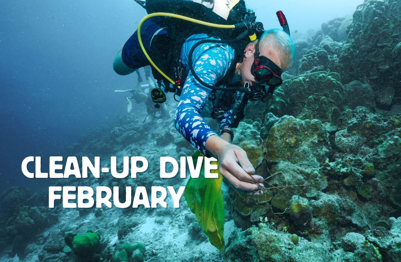 CLEAN-UP DIVE FEBRUARY