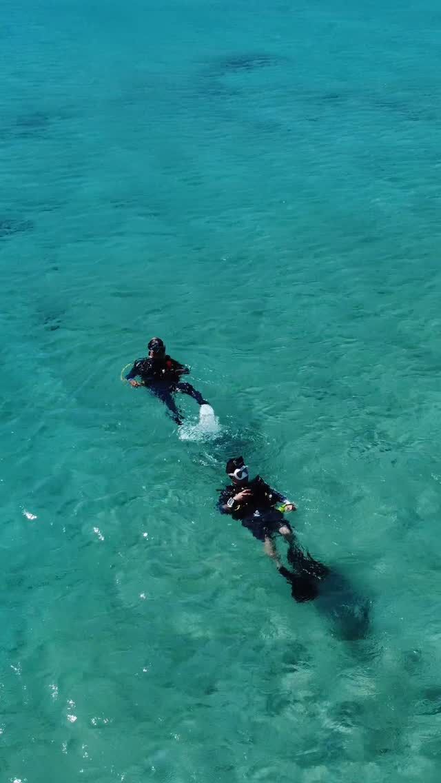 Let's go diving! 🤿

Your Dive Friends are waiting for you on the Caribbean island of Bonaire!

See you soon

#divefriends #bonaire #weareyourdivefriends