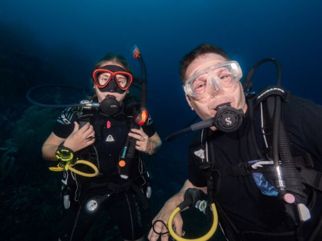 We’re gearing up for another fantastic week of diving in Bonaire’s crystal-clear waters, and we want YOU to be part of the adventure! If exploring reefs and encountering amazing marine life 🐢 is on your bucket list, now is the perfect time.

Tell us: Have you already planned your dive trip, or are you still dreaming about it? What’s the one thing you’re most excited to see underwater? Share your thoughts and plans in the comments below, and let’s get the conversation going!

We’d love to hear from you! 

📸 @great_blue_bonaire 

#divefriendsbonaire #explorebonaire #scubadiving #scubadivingbonaire #scubadivers #bonaire #duiken #diveholiday #scubadiveholiday #padi #scubapro #padipro #padiopenwater #guideddives #padicourses