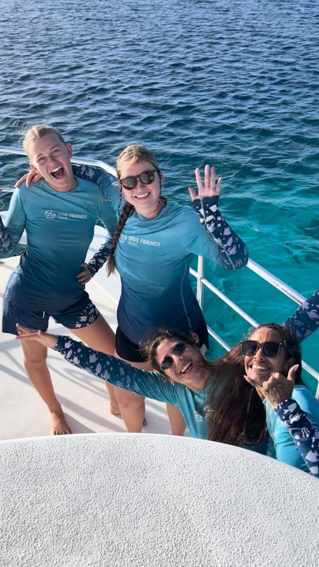 Do you want to start your dream job in diver’s paradise? 🤿

Check out our vacancies on our website www.divefriendsbonaire.com. 

#divejobs #diveindustry #divefriends #workbonaire #wheretowork #caribbeandivejobs