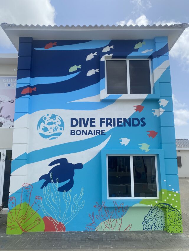 Big thanks to Rosaly from @sharkingdaily  for the stunning new mural at our Retail & Dive Store😍! The artwork brings the ocean vibes straight into our store and we couldn't be more thrilled! 🙌

Retail & Dive Store has everything you need for diving, all in one place! From BCDs and wetsuits to a vast range of accessories, we've got everything you need for your next underwater adventure. For those eager to explore the cutting edge of dive technology, our store is your go-to @diveavelo hub!

#divefriendsbonaire #retaildive #diveretail #scubapro #avelo #avelorad #avelodivers #scuba #padi #paditv #paditravel #bonaire #bonairerdivecenter #bonairediveshop #sharkingdaily