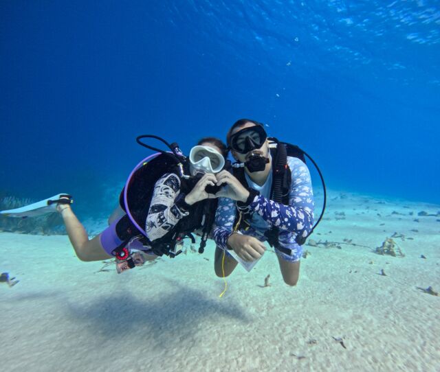 We are your dive friends! 🤩

Diving should feel comfortable, and you should be at ease. That's why we're committed to making you feel like you're diving with friends!

Whether you're a beginner or a pro, our dive guides and instructors are always ready to assist you in expanding your diving knowledge. Maybe you want to know more details about your dive equipment? Or perhaps you're looking to find a rare critter?

Don't hesitate to ask our team for help!