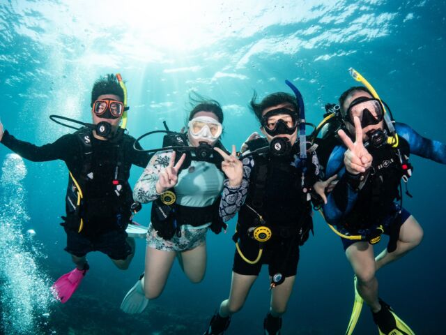 We are your dive friends! 🤿

And we can't wait to bring out the best of your vacation in Bonaire. Are you ready to step up your dive game? We offer a wide variety of courses, including PADI courses and Avelo!

Contact us for more info.

#divefriends #bonaire #divelife #weareyourdivefriends