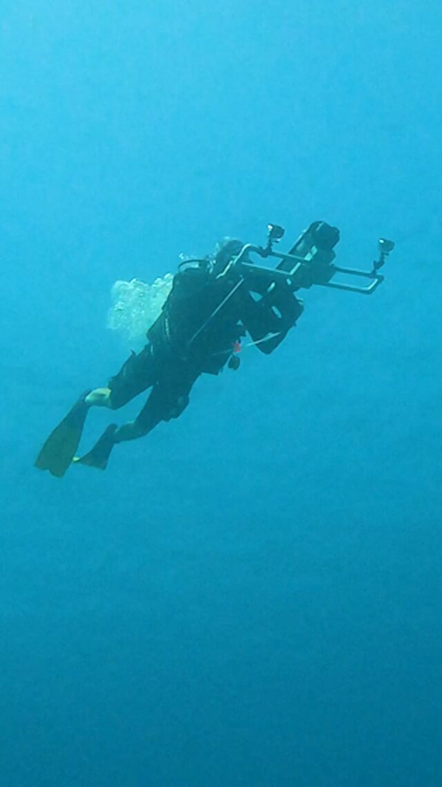 Reef Smart Guides creates three-dimensional maps of aquatic ecosystems, including coral reefs, shipwrecks and basically every dive site on Bonaire. Recently, they came to Bonaire to map another good dive site, Delfins Reef, which is right at one of our location, Delfins Resort. Here’s a glimpse into how they map these dive sites.
Guidebooks and waterproof dive site cards are available at our locations!

#divefriendsbonaire #bonaire #reefsmart #reefsmartguide #scuba #scubamap #reefmap #divesite #divesites #divesitebonaire #coralreefs #divemap #divefriends