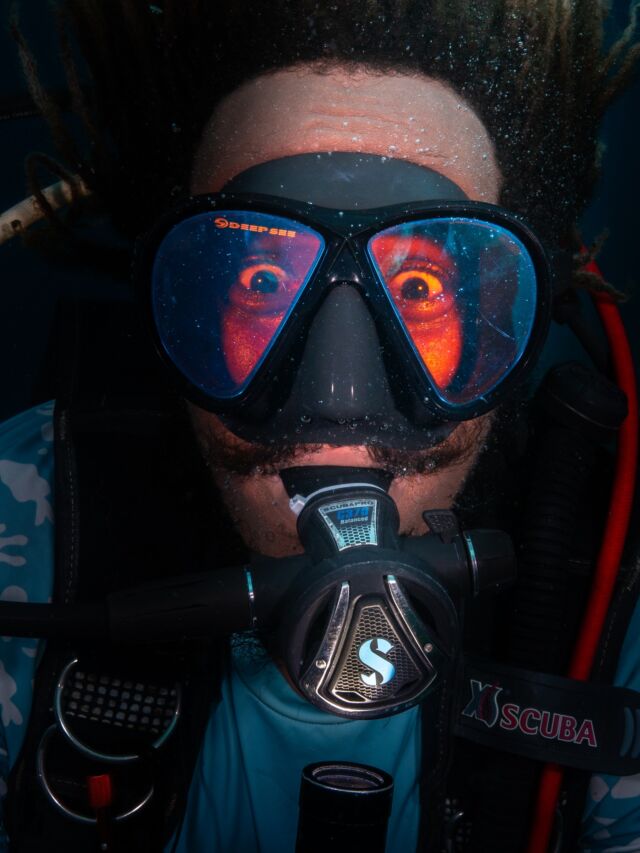 At Dive Friends Bonaire, it’s not just about the dive. It’s about the experience. Our dedicated staff goes above and beyond to ensure your adventure is unforgettable. Our skilled dive instructors will guide you through stunning dive sites with expertise and enthusiasm. Meanwhile, our amazing team above water ensures you receive a warm welcome and top-notch service from the moment you arrive! 

#Divefriendsbonaire #bonaireisland #bonairetoerisme #scubadivers #diving #padi #bonaire #divefriends #scubapro #oceanr #duiken #divestaff #scubadivestaff #PADIinstructor #padi #paditravel #padibonaire 

📸 @great_blue_bonaire