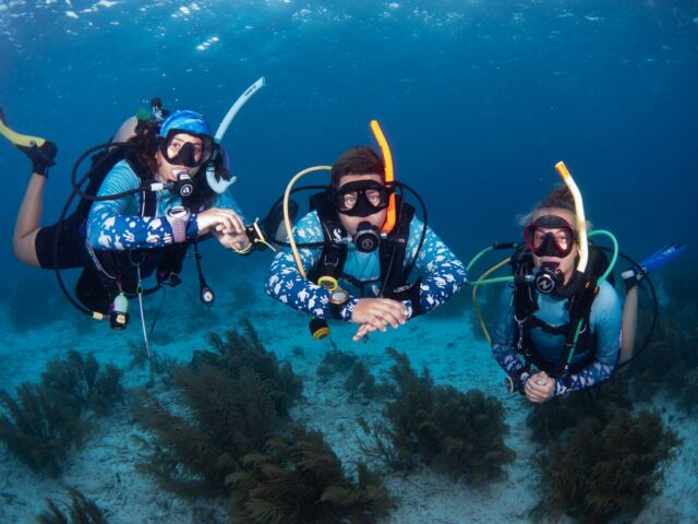 Are you considering becoming a dive instructor? This is your sign!

By becoming a PADI Instructor, you'll be ready to share your passion with a new generation of divers. After completing your IDC, you will teach courses to beginners and beyond!

Doing your IDC in Bonaire is the best choice you can make. We will ensure you have everything you need to successfully become a dive instructor!