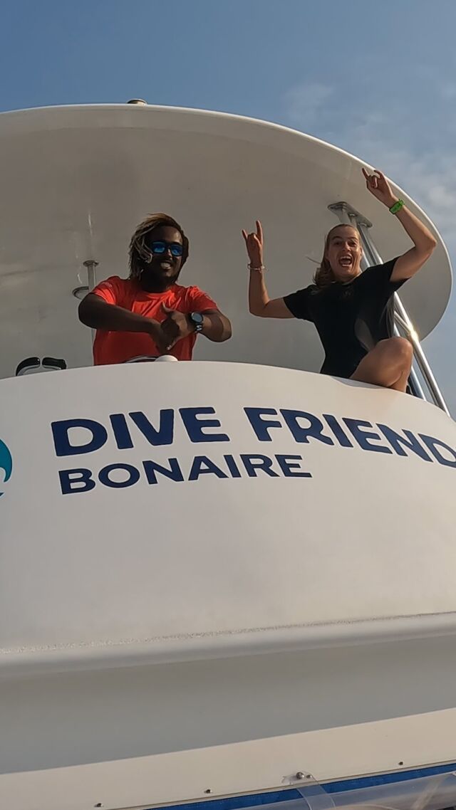 Let’s have some dive fun with your dive friends! 😍

#divelife #scubadiving #divefriends #bonaire #divefriendsbonaire #lovelife