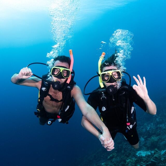 Discover Scuba Diving in Bonaire

The best way to start your vacation is by participating in Discover Scuba Diving! This way, you'll get the chance to see why Bonaire is called a diver's paradise, without committing to a full course.

And if you love it? You can go ahead and continue with the PADI Open Water Diver course.