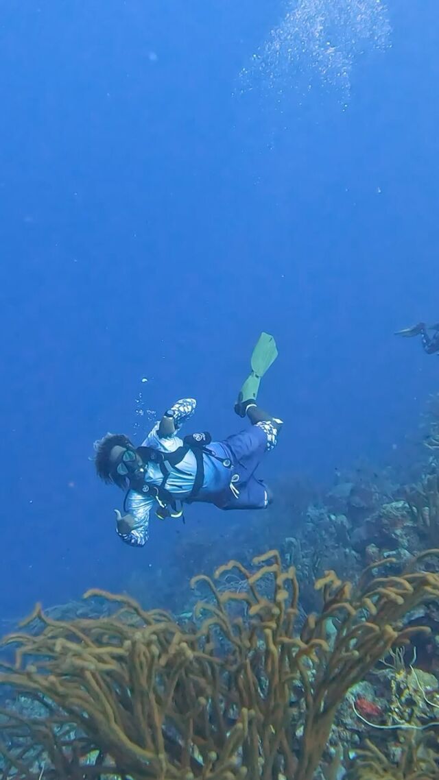 Jason passed the Avelo vibe check ✅🤿
Feel the freedom of diving Avelo!

#diveavelo #avelo #avelodivers #diveaveloinstructor #divetechnology #bonaire #scubadiving #bonaireisland #avelodivercenter #avelodivecenter #avelodivesystem #avelodivecommunity #avelodivecenters