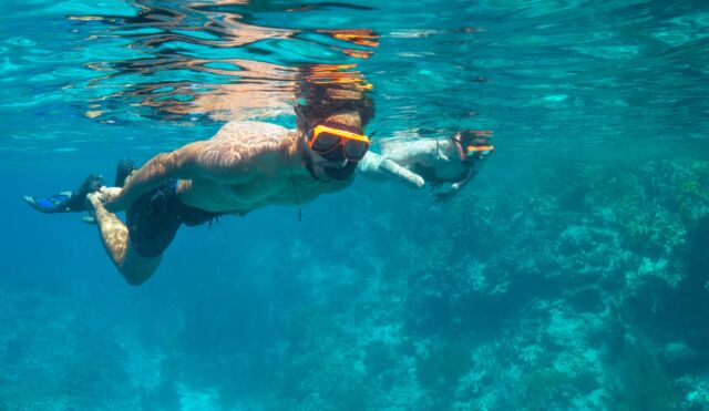 Explore the best snorkel sites in Bonaire with our experienced guides🤿 . Our snorkel boat activity is perfect for adding excitement to your non-diving days or spending precious time with friends and family. Or opt for the guided shore snorkel trip, where you’ll enter the water directly from the shore and discover vibrant marine life up close.

#divefriendsbonaire #snorkelingbonaire #snorkelbonaire #bonaire