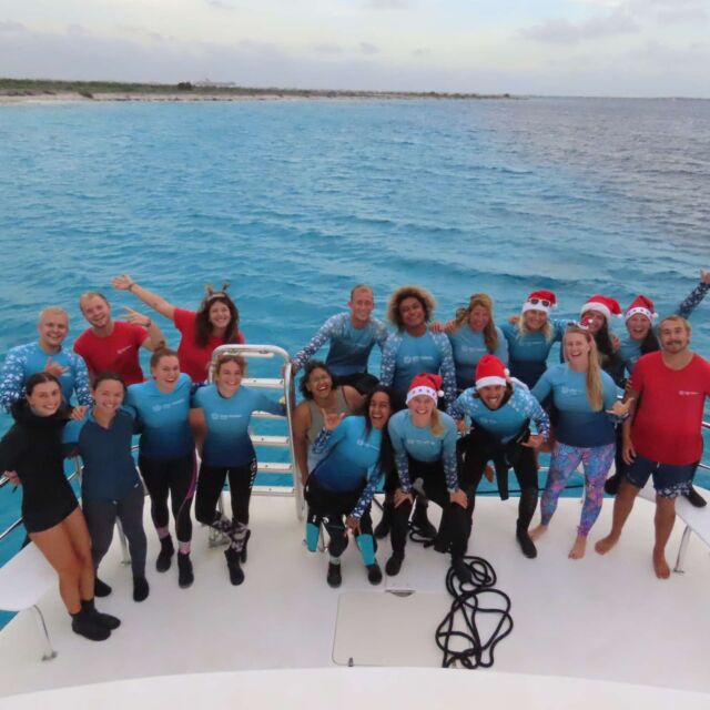 Your Dive Friends wish you a Merry Christmas and a Happy New Year! ⭐️

We are grateful for everyone who dived with us this year, as well as our partners and dive friends on the island and around the world.

#christmas #bonaire #divefriends #weareyourdivefriends