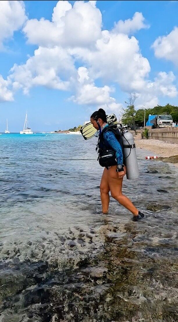 Get your PADI Open Water Diver certification and explore up to 18m/60ft with a buddy🤿. Your underwater adventure starts here at Dive Friends Bonaire!

#divefriendsbonaire #bonaire #padi #paditv