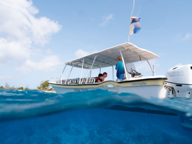 𝗝𝗼𝗶𝗻 𝗼𝘂𝗿 𝘀𝗻𝗼𝗿𝗸𝗲𝗹 𝗯𝗼𝗮𝘁 𝘁𝗿𝗶𝗽𝘀! 🛥️

Explore the best snorkel sites in Bonaire with our experienced guides. Our snorkel boat activity is perfect for adding excitement to your non-diving days or spending precious time with friends and family.

#snorkeltrip #bonaire #snorkelboat #lovesnorkeling