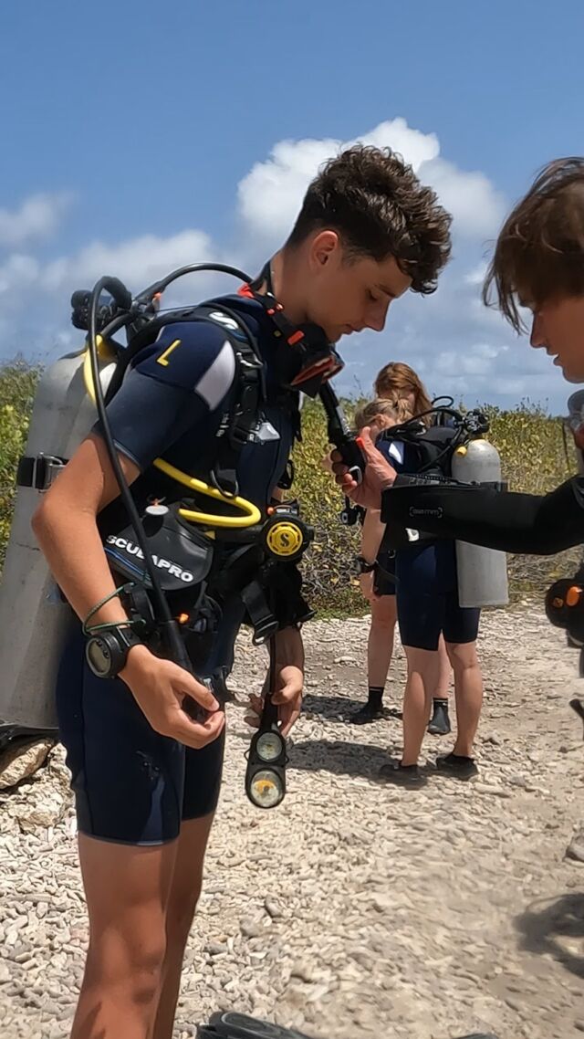 This is our plan for this year, but either way is fine! 🐬

What are your goals for 2025? Similar or very different?

#divefriends #bonaire #weareyourdivefriends #scuba