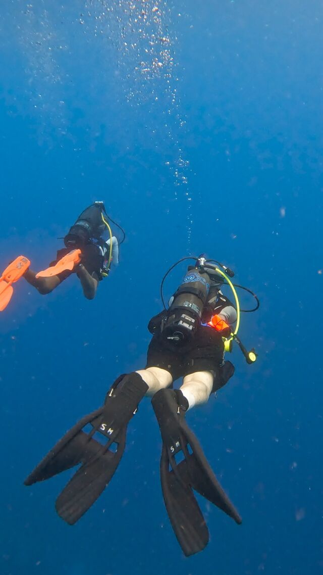 Yeah... We are addicted to diving Avelo! 💙

Maintaining perfect buoyancy has never been this easy. Try it yourself with the Discover Avelo activity. One of our Avelo instructors will explain the basics of the system, and then you'll go on an assisted Avelo dive. All of this for just $150!

Send us a message for more info!

#discoveravelo #avelo #RAD #bonaire #newtechnique