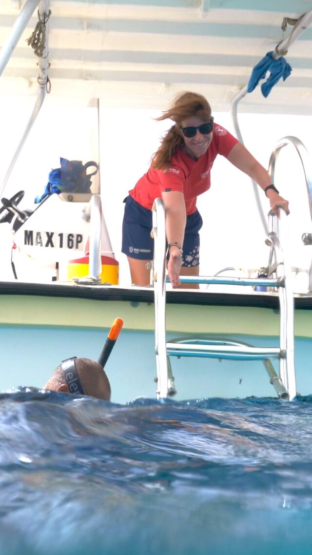 We can make this YOUR life! 🥹🤩

Join the Dive Friends team as a dive instructor. If you’re already a certified scuba instructor, you can start right away! Still need to complete the Instructor Development Course (IDC)? Join one of our many IDC programs throughout the year.

We can’t wait to meet you!

#divefriends #bonaire #divejobs #instructor #diveinstructor #caribbean