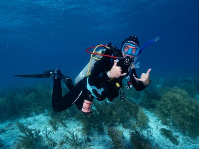 We’re thrilled to share that one of our diving instructors, Davide, has received a PADI certificate of Excellence 👏
 
Here’s what Dennis, a recent student, had to say:
“Hello PADI, My name is Dennis, and I finished my course with Davide here in Bonaire earlier today. I want to say that it was an amazing experience, and the location of course is superb. My only regret is not having more time to dive here in Bonaire. Also, Davide was an excellent instructor. This due, in part, to his obvious knowledge and ability to impart said knowledge. Davide also displayed great patience with and an ability to manage students of varied aptitude without allowing the experience to be negatively impacted for any of the course participants.”
 
Thanks to Davide and all our instructors who provide unforgettable diving experiences.
 
What is your best memory of your Dive Friends?

 #PADI #divefriends #bonaire #scubadiving #diving