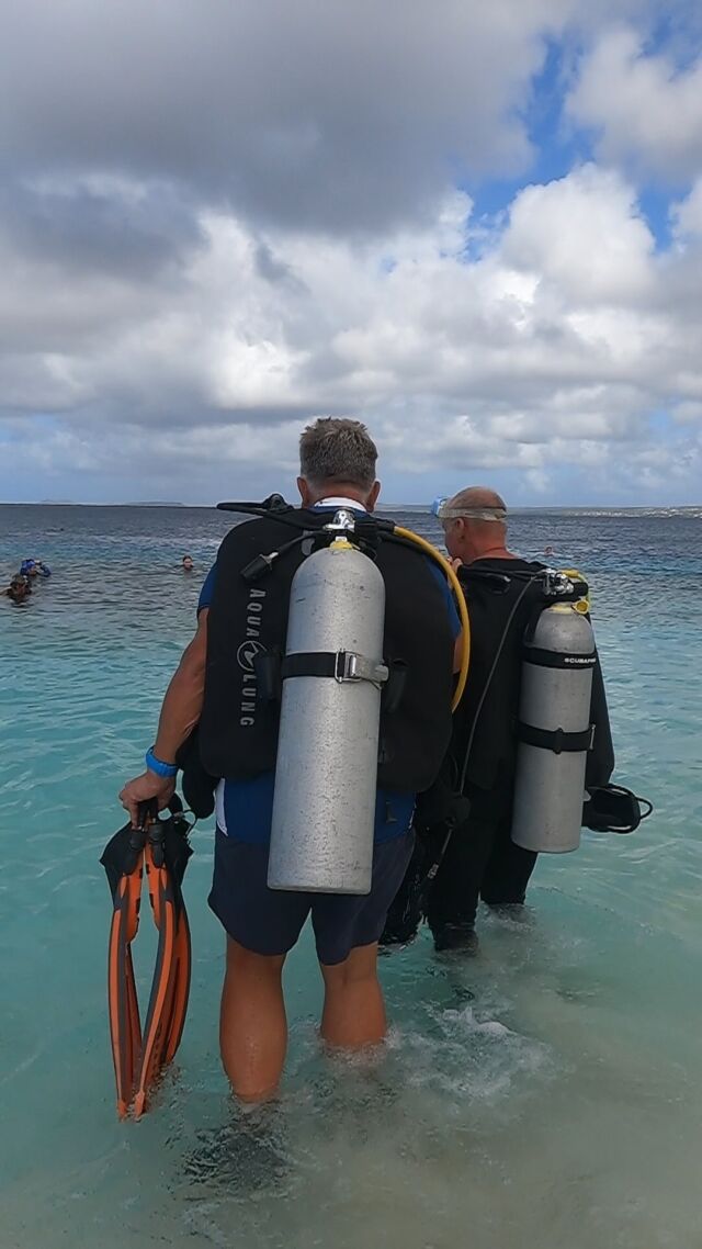 ♻️ Team up to clean up! ♻️

Join our next Quarterly Clean Up Dive on the 19th of October. 

#teamuptocleanup #divefriends #quarterlycleanupdive