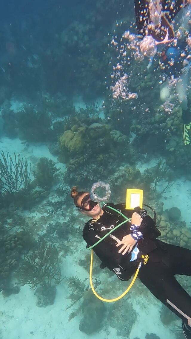 While Bonaire’s shore dives are legendary, there’s a whole new world to explore by boat! Join us for one or two-tank boat dives to the stunning reefs of Klein Bonaire and the northern coast, to shore-inaccessible dive sites.

Our amazing crew will make sure you have a blast, from spotting cool marine life to helping you make the most of every dive! 😎

#divefriends #bonaire #bonaireisland #boatdiving #diversparadise #scubadivingbonaire #divefriendsbonaire