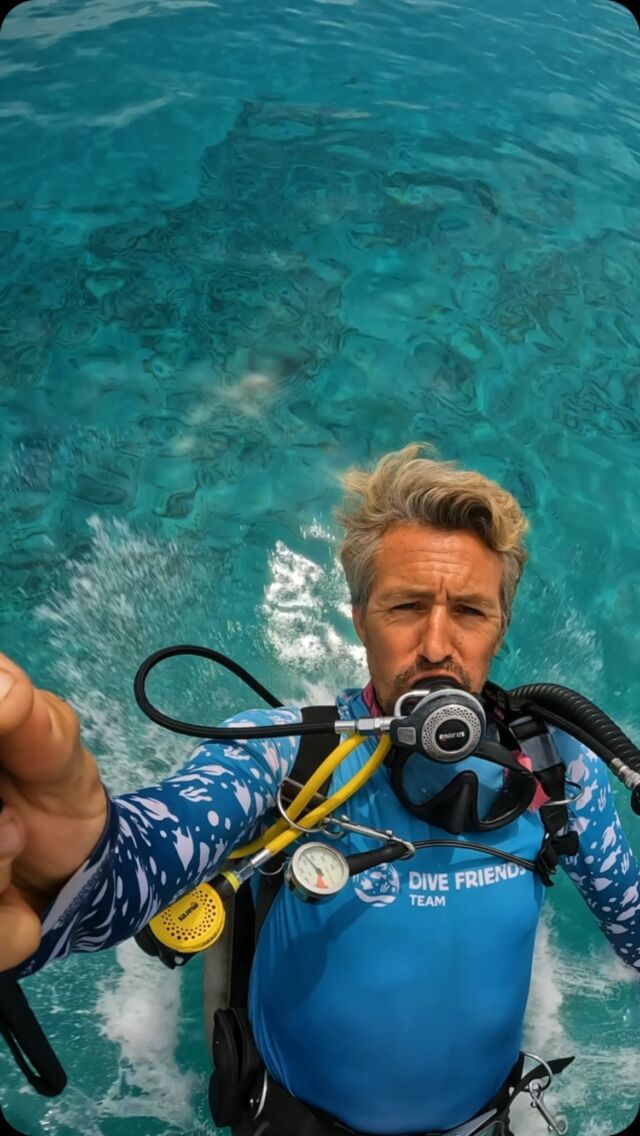 Our crew had a fantastic time at Sand Dollar during PADI AWARE Week, taking on a housereef cleanup! We removed debris and discovered some amazing marine life in the process. It’s always exciting to see the reef looking better after a dive. Big thanks to our staff for making it all possible! 🌊👌

#padi #padiaware #padiawareweek #cleanupdive #bonaire #cleanupbonaire