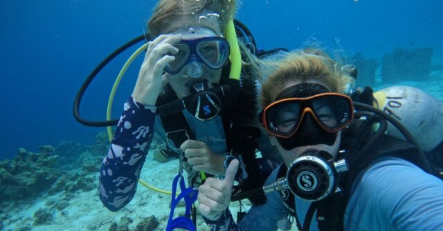 One thing is certain: doing your IDC with Dive Friends will be as fun as it is educational! 🤩

We value a personal approach to learning, and our Course Director, Eddy, will make sure you'll enjoy your IDC just as much as you'll learn from it.

During your IDC, you're likely to make friends for life!

So, if you're ready to take the next step in your dive career, consider doing your IDC with your dive friends.

Send an email to coursedirector@divefriendsbonaire.com to learn more.