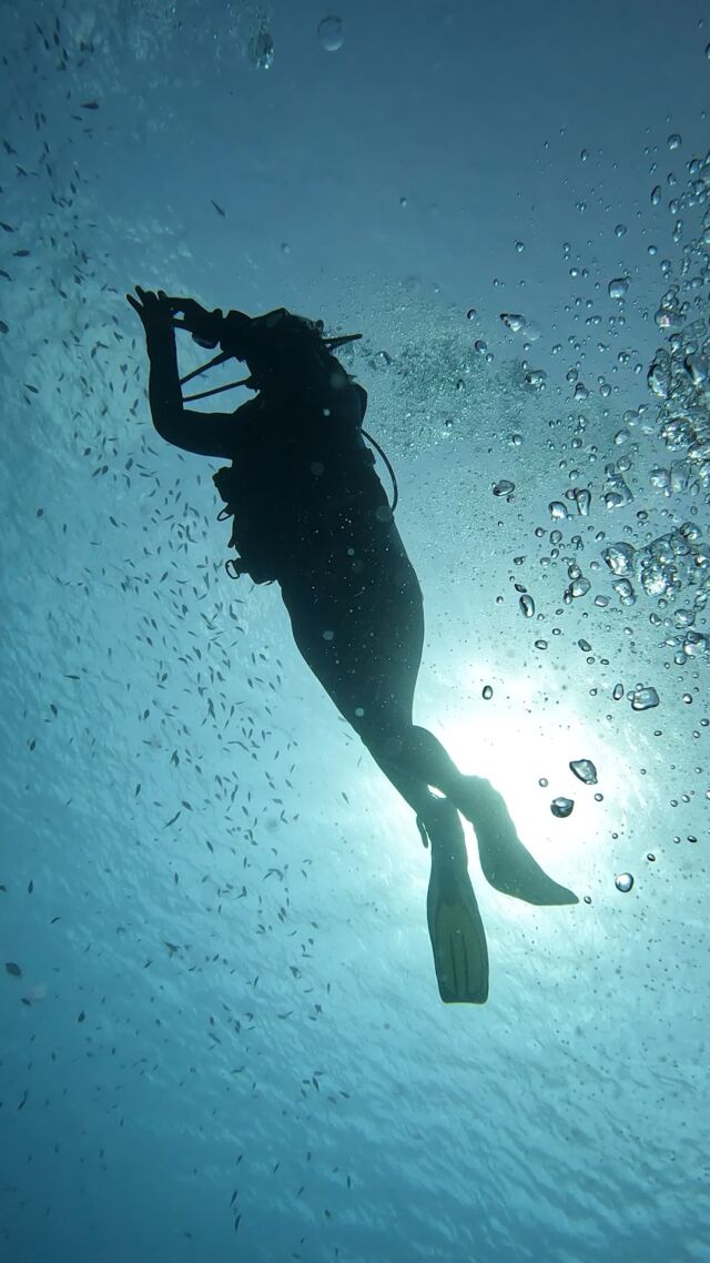 It’s time to level up your diving skills with the PADI Advanced Open Water Diver course! If you wish to dive deeper, refine your navigation skills, and become an all round better diver, this is the course for you.

After completing the theory, you will go for five Adventure Dives spread over two days. The Deep Dive to 30m/100ft and the Underwater Navigation are mandatory, while for the remaining three dives, you have the option to choose from the following Adventure Dives: Peak Performance Buoyancy, Night, Underwater Naturalist, Fish ID, Search & Recovery, Wreck, and Photography.

#AOW #advancedopenwaterdiver #divefriends #PADI #bonaire