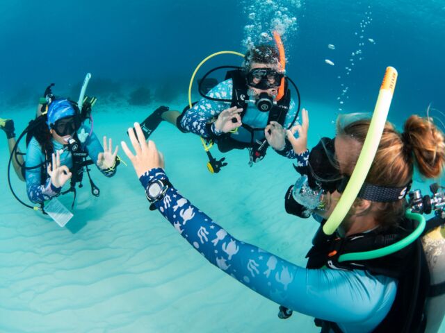 OK👌! 

Kick off your Divemaster adventure in the divers paradise with Dive Friends Bonaire! Where better to start this incredible journey than on the beautiful island of Bonaire? Perfect conditions, stunning reefs, and top-notch training await you. Make your 🤿  dreams a reality! 

#divemaster #padidivemaster #padipro #padiprobonaire #padibonaire #bonaire #bonairepadi #divemaster #scubapro #padi #padicourse #scubadivers #divefriendsbonaire #divefriends #Paditraining #padicourses