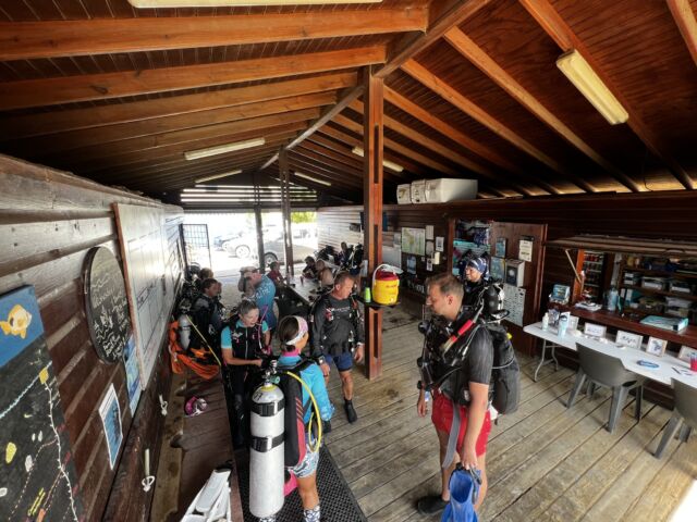 A busy day at our Hamlet location last week! 🤿

A refresher, guided dive and an IDC going on. 

#hamletoasis #divefriends #bonaire